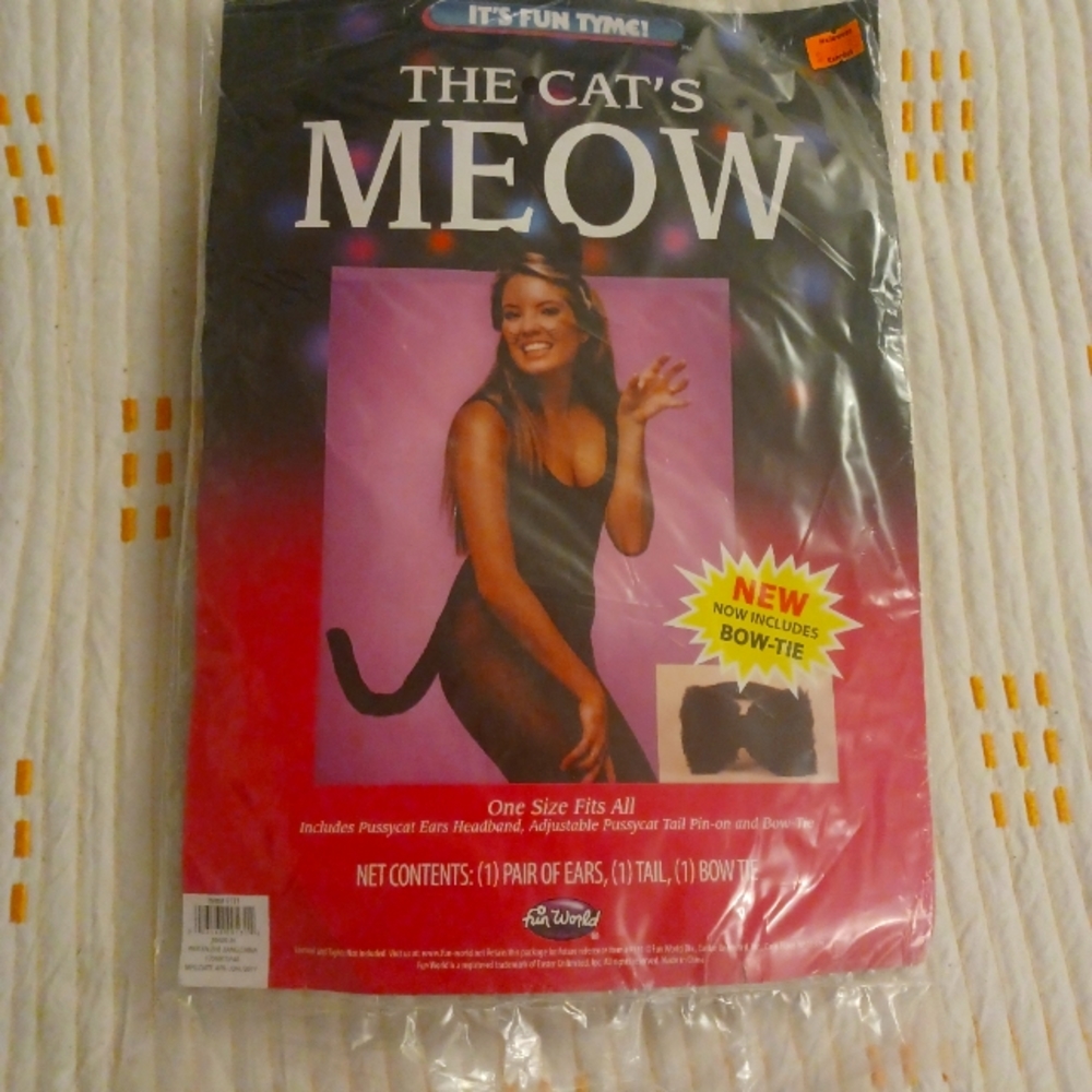 Halloween cat